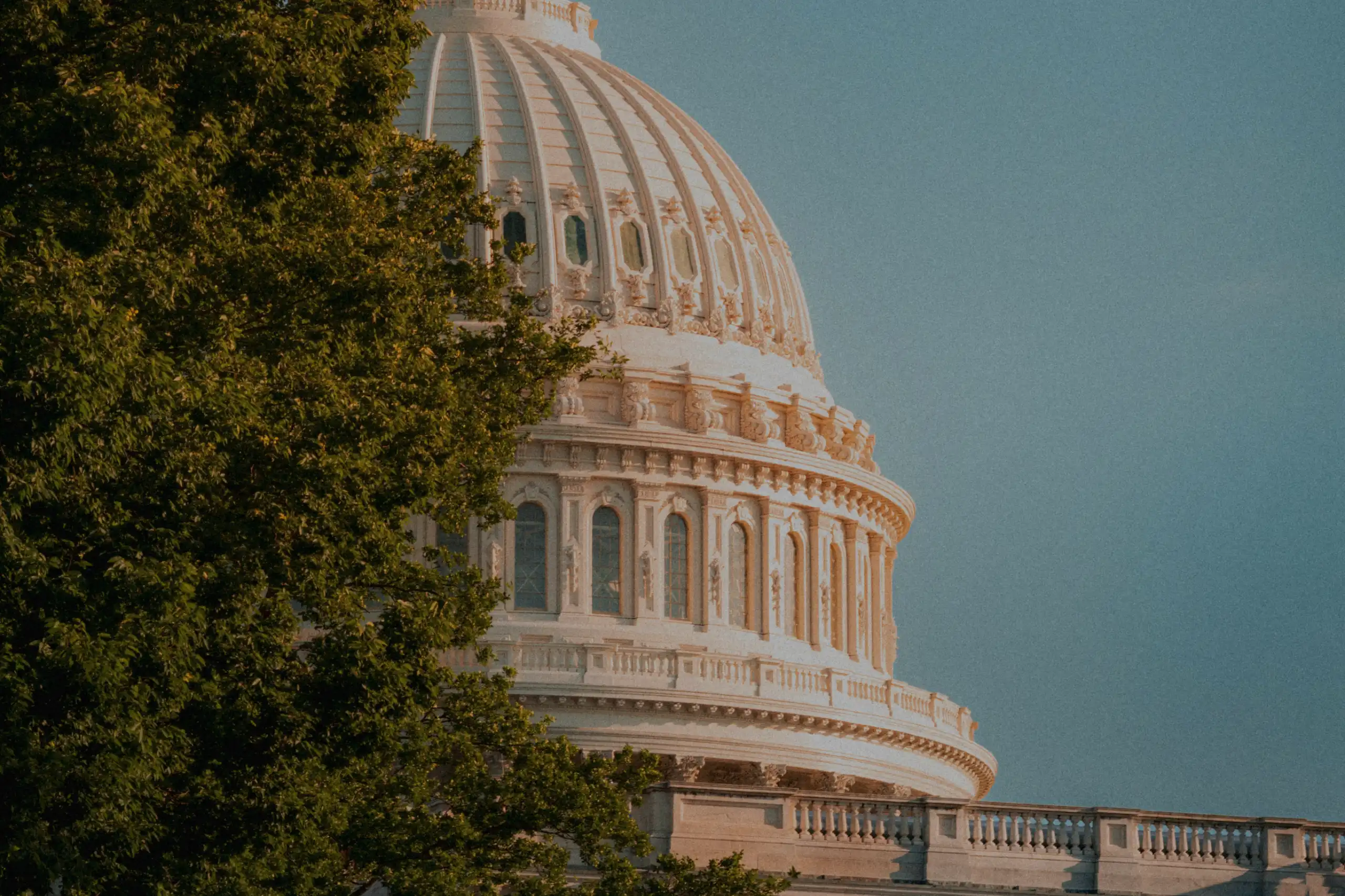 Close-up of the Capitol building dome partially obscured by green trees against a clear sky.