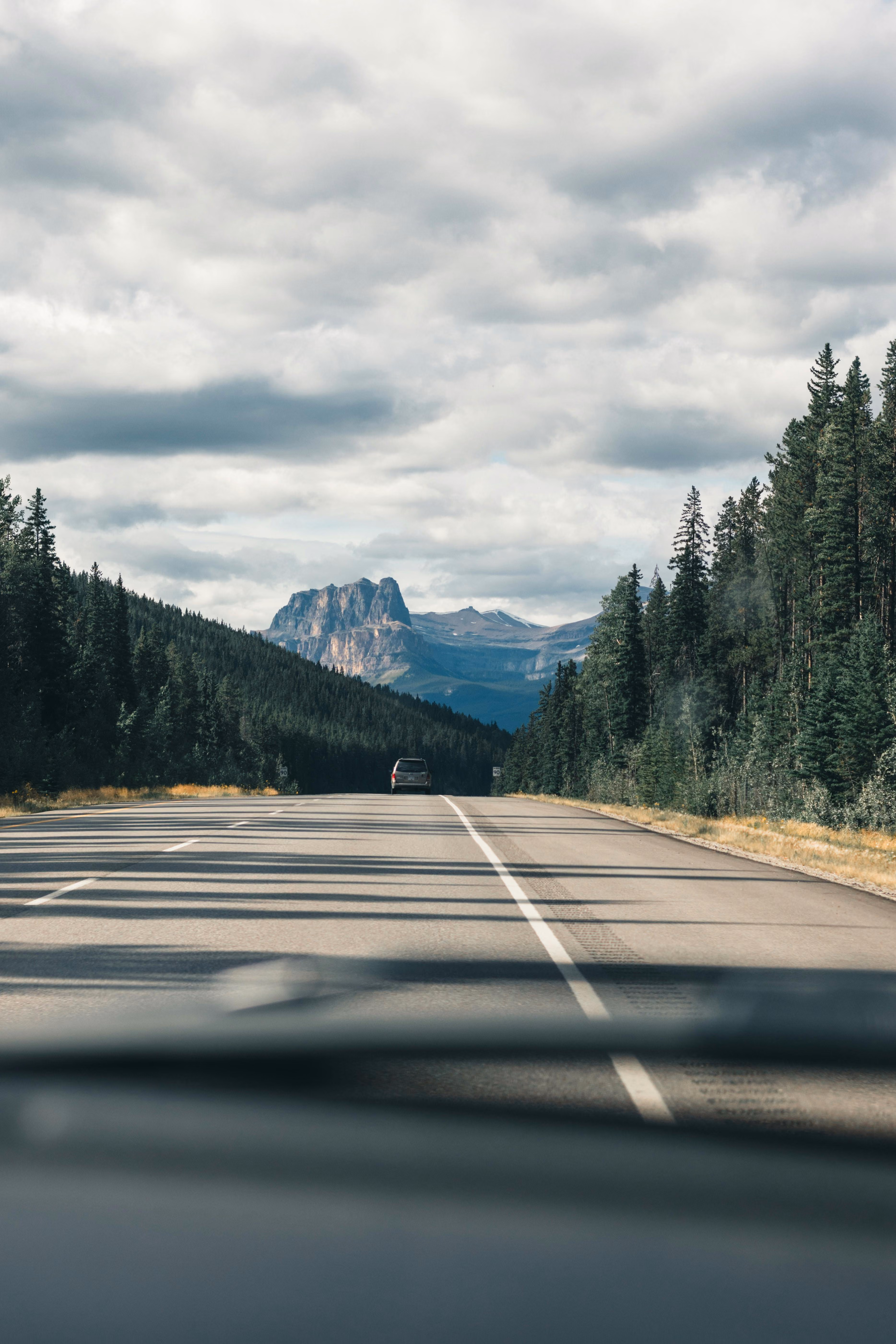 Car driving on a highway surrounded by pine trees with mountains and cloudy sky ahead.
