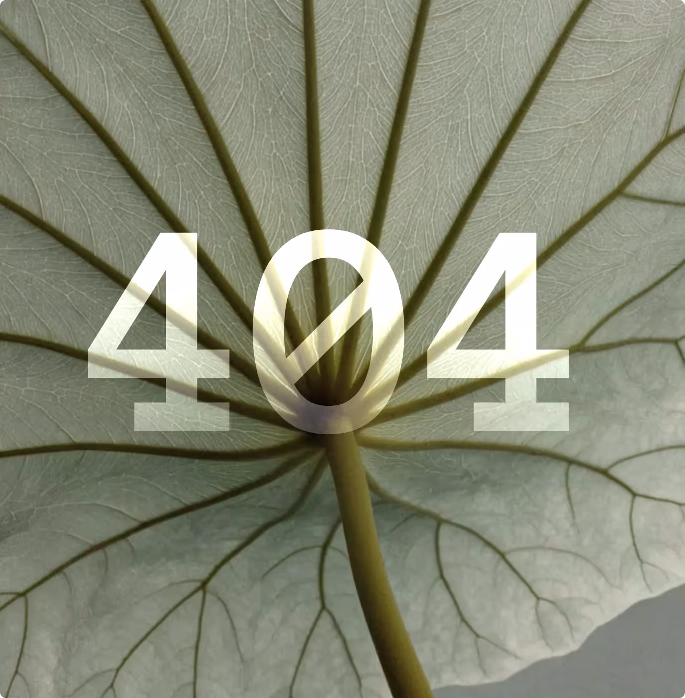 Consulting & strategist Webflow template