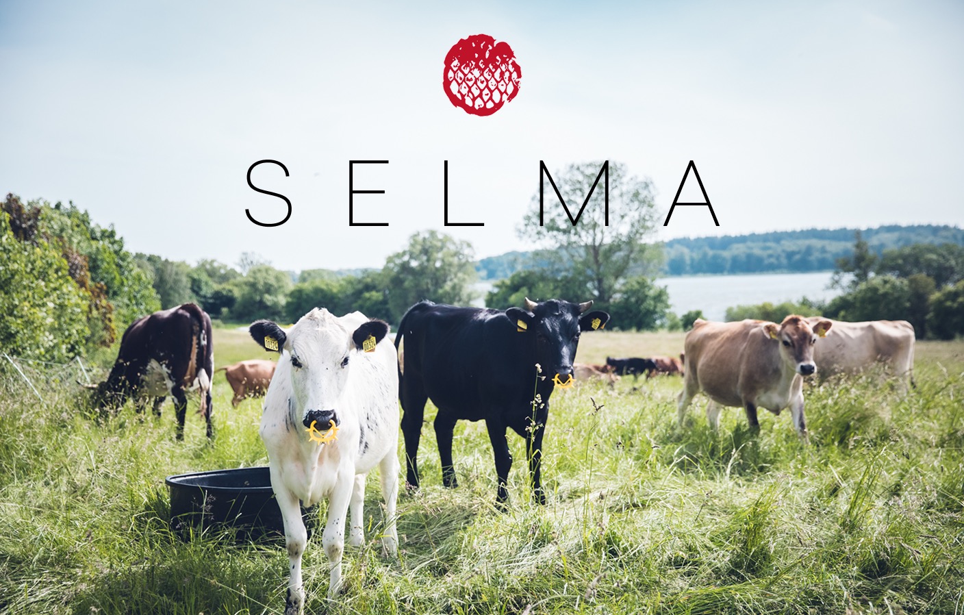 Rooted in seasonality