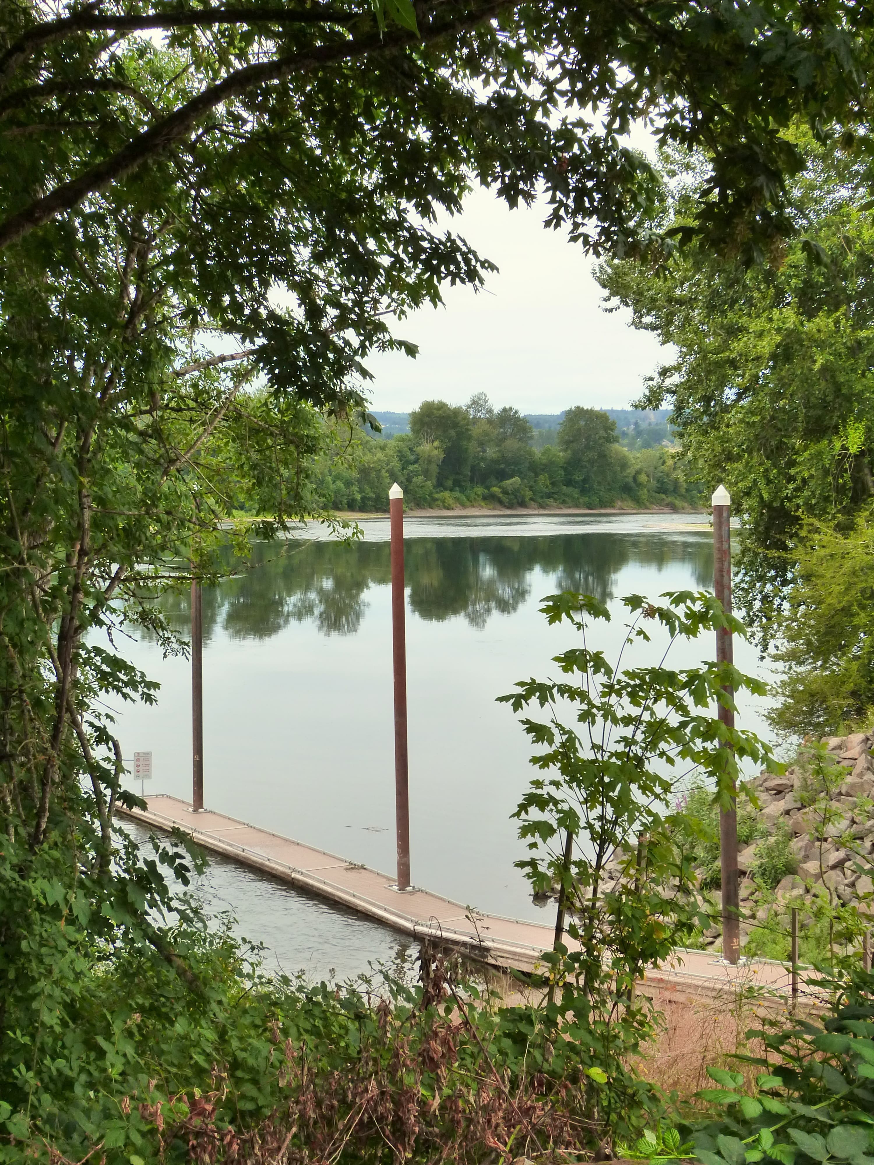 Wooden dock with tall posts extending into a calm river, framed by green trees and foliage.