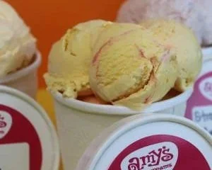 Amy’s Ice Cream Sweet Fleet Club