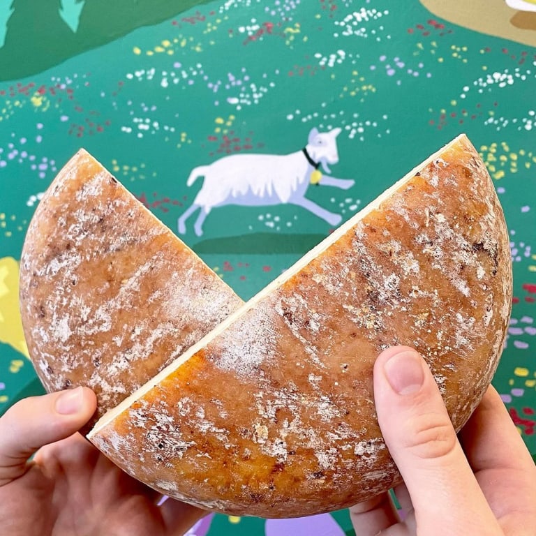 A wheel of Milkfarm cheese held up against a colorful painted backdrop