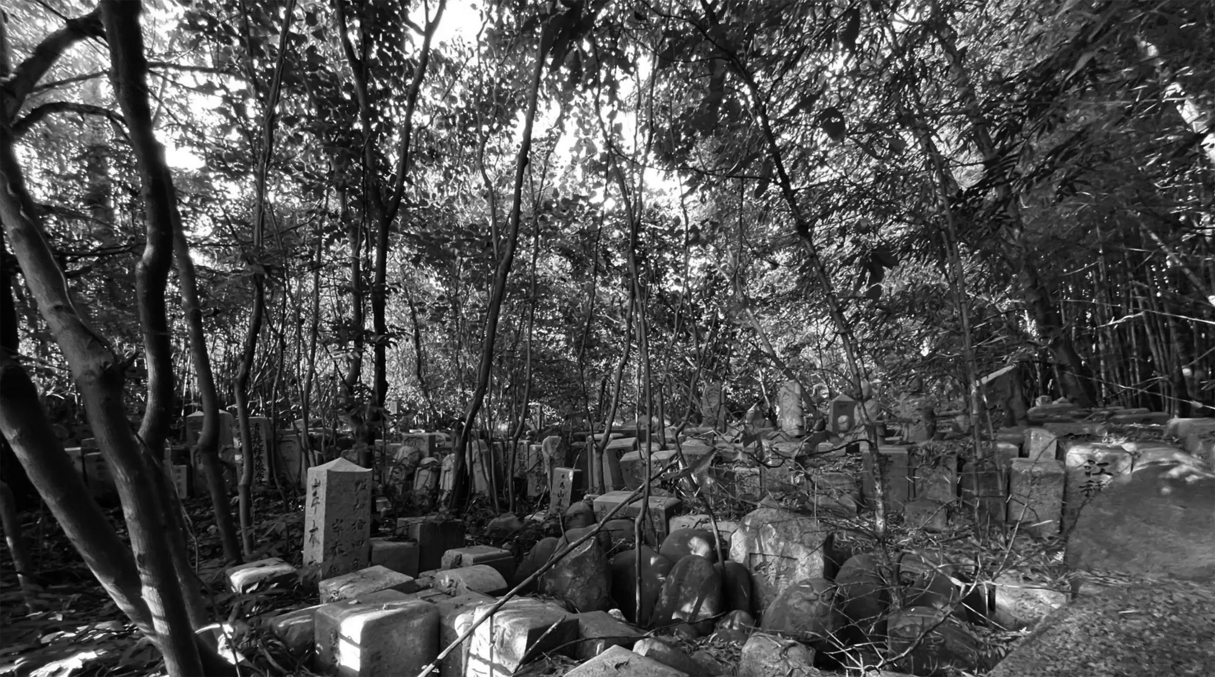 image of community involvement (for a furniture store)