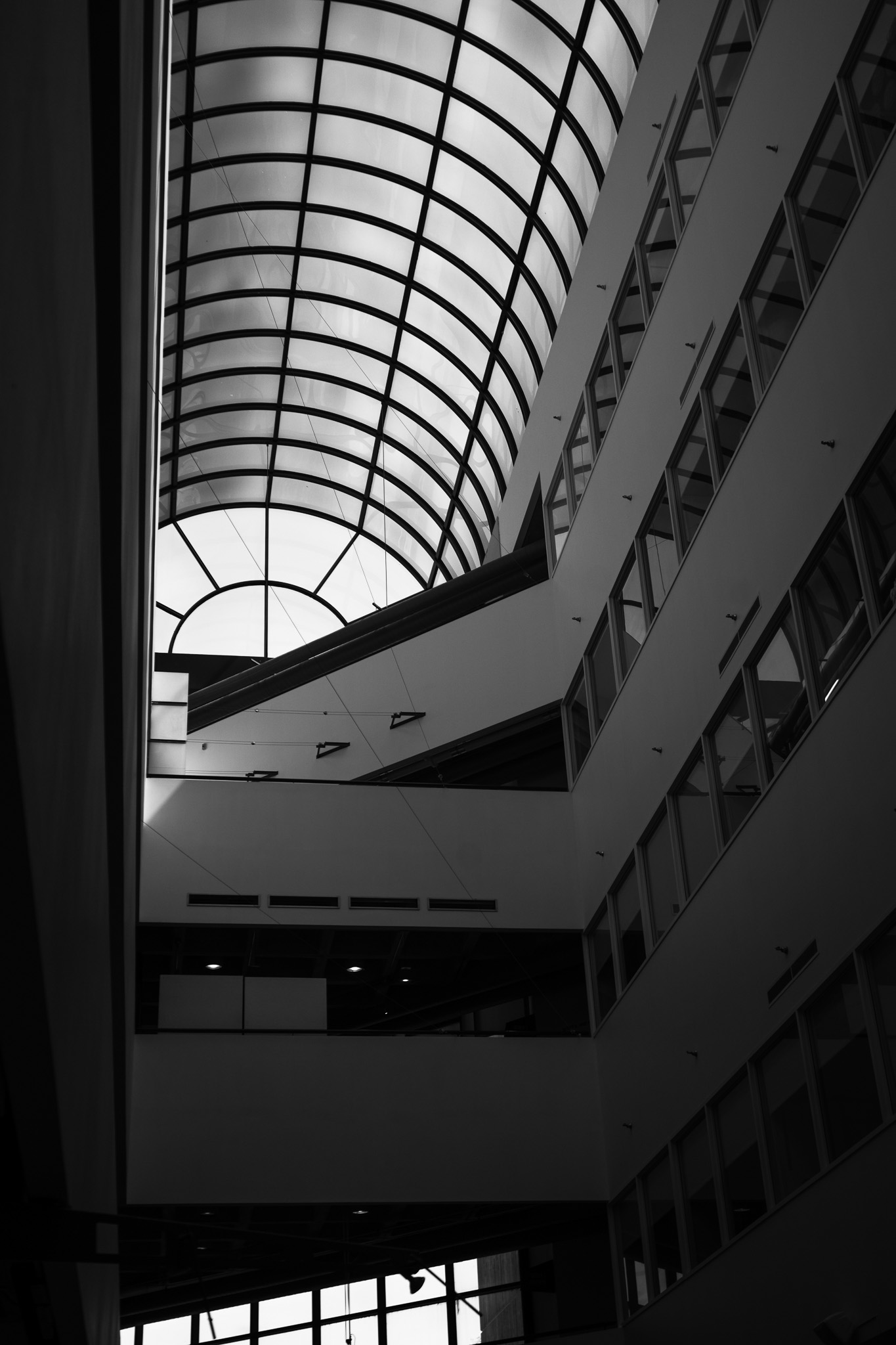 Interior of the College of Design with a large curved glass ceiling and multiple rows of windows on angled walls.