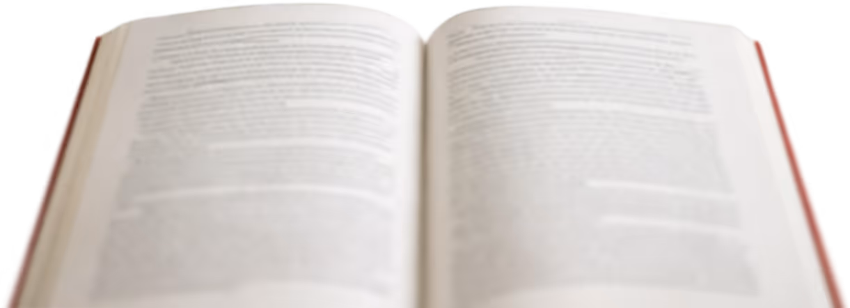 Open book with indistinct, blurred text on both pages.