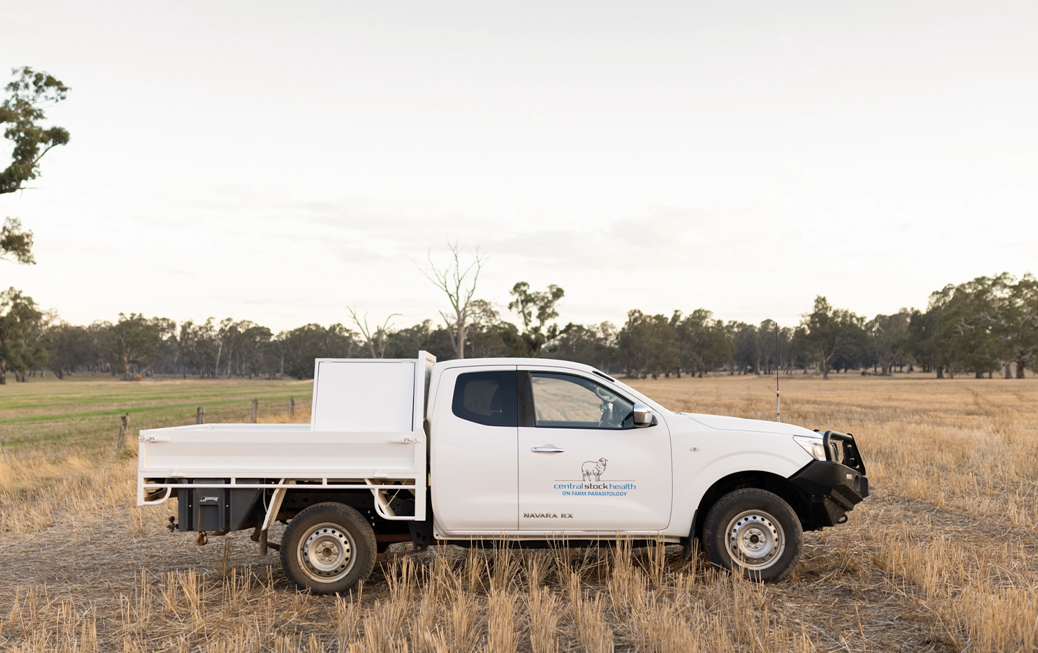 Boundary Agency client, Central Stock Health's ute, in a field.