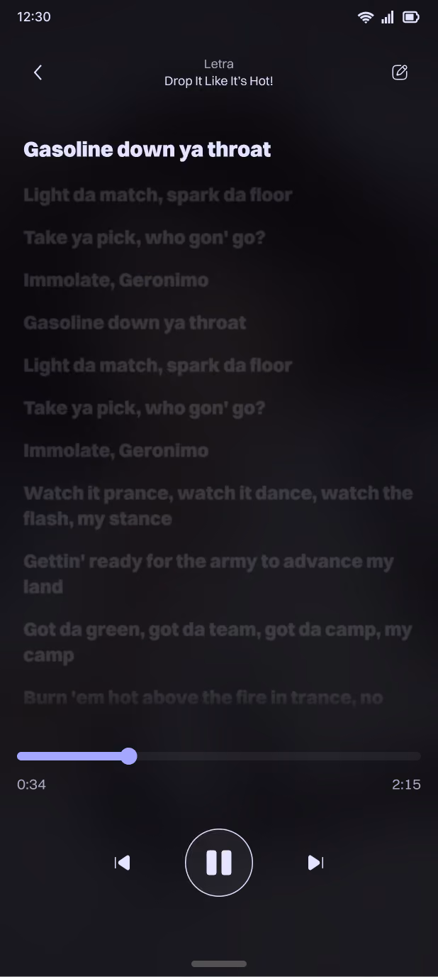 Screen from the Lyrics Screen, wehere the user can add, edit and see the lyrics of any song.