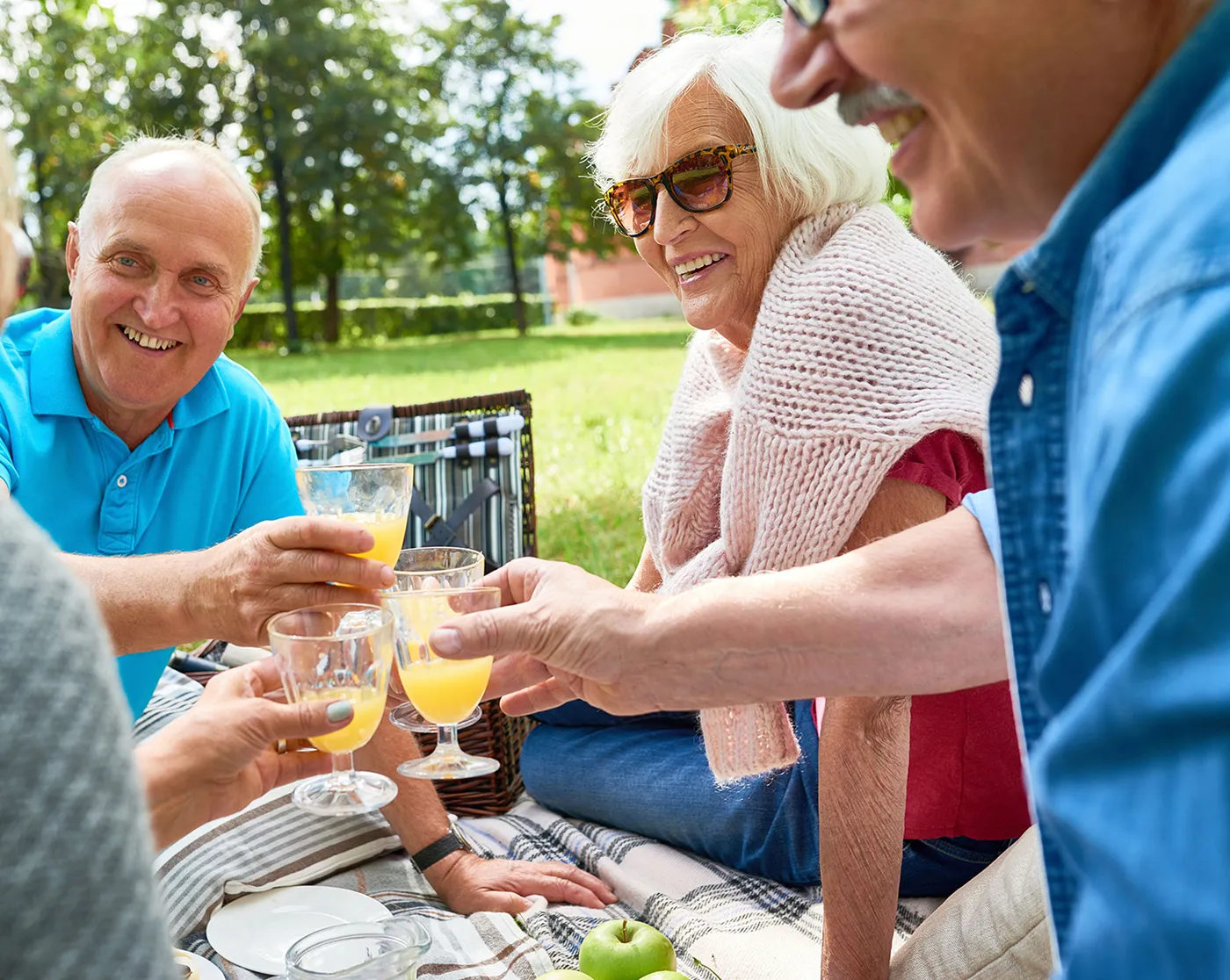 Group of elderly friends sitting on a picnic blanket outdoors, smiling and toasting with glasses of orange juice.