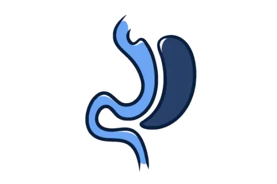 Simplified illustration showing a gastric sleeve surgery with the stomach reduced to a narrow vertical section.