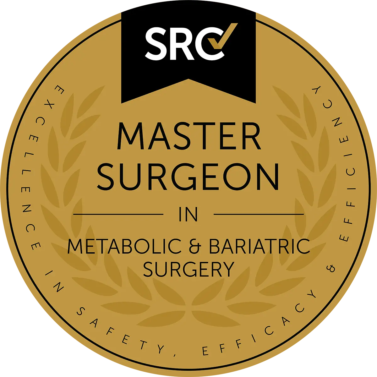 SRC Master Surgeon of Metabolic and Bariatric Surgery seal — Dr. Sandy Martinez accreditation
