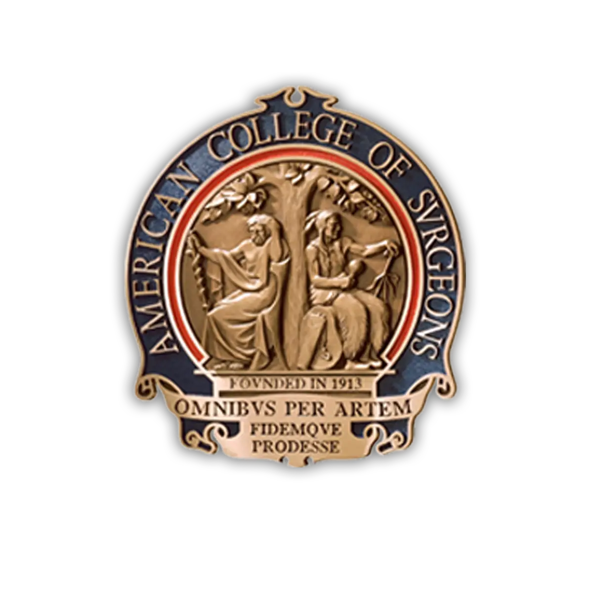 Fellow of the American College of Surgeons (FACS) certification seal