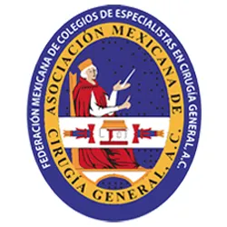 SRC Master Surgeon of Metabolic and Bariatric Surgery seal — Dr. Sandy Martinez accreditation