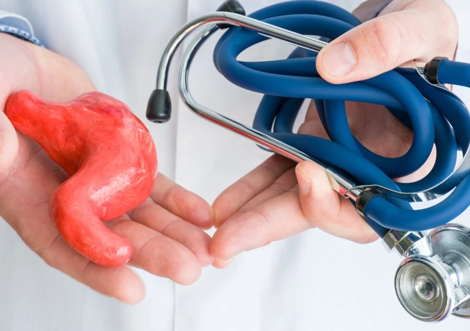Myth 6 Bariatric Surgery Leads To Malnutrition