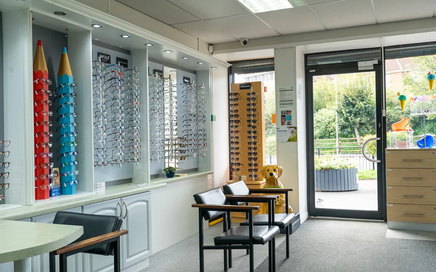 Interior of an optician's store with display racks of eyeglasses and sunglasses, chairs for customers, and a glass door showing greenery outside.