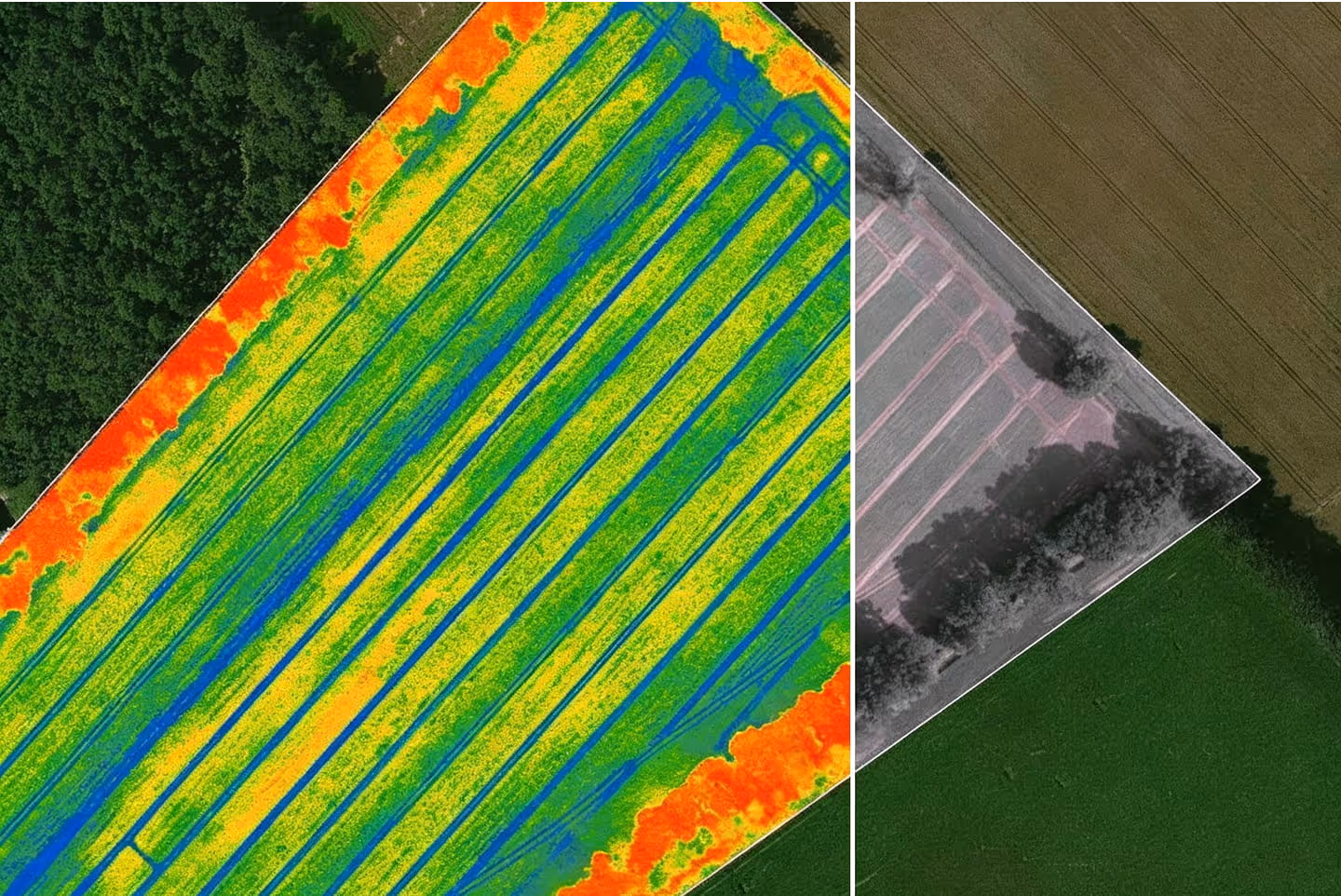 Side-by-side comparison of a colorful thermal map of a field with blue, green, yellow, and red areas and a grayscale aerial photo of the same field with trees and adjacent farmland.