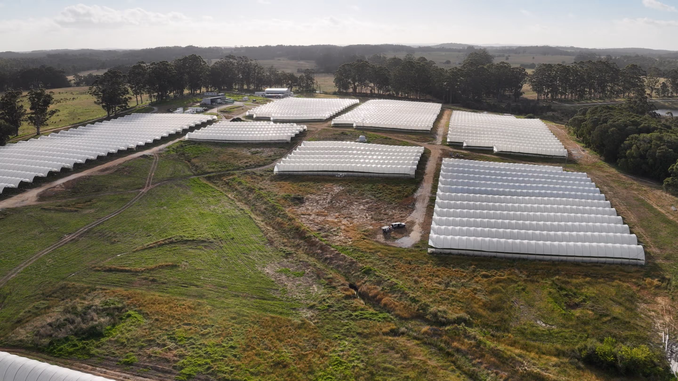 Aerial view of a farm with multiple white greenhouse structures arranged in rows amidst green fields and trees.