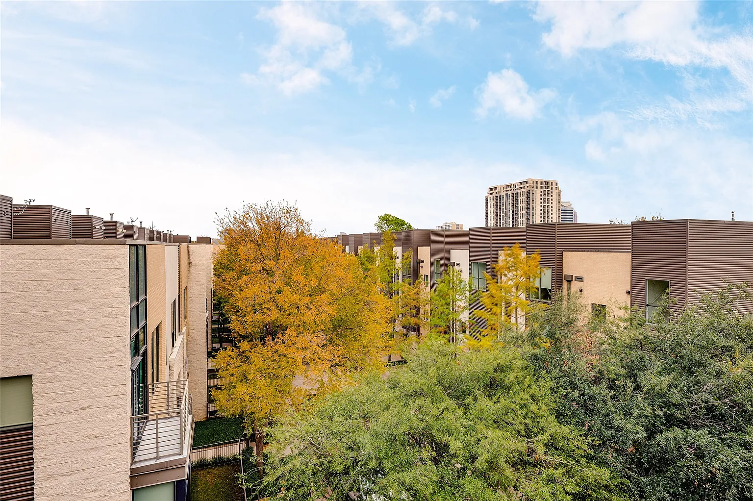 Looking across SOHIP rooftops toward the Oak Lawn skyline