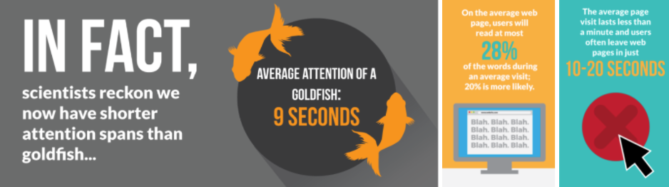 digital products and applications