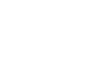 tom ford logo