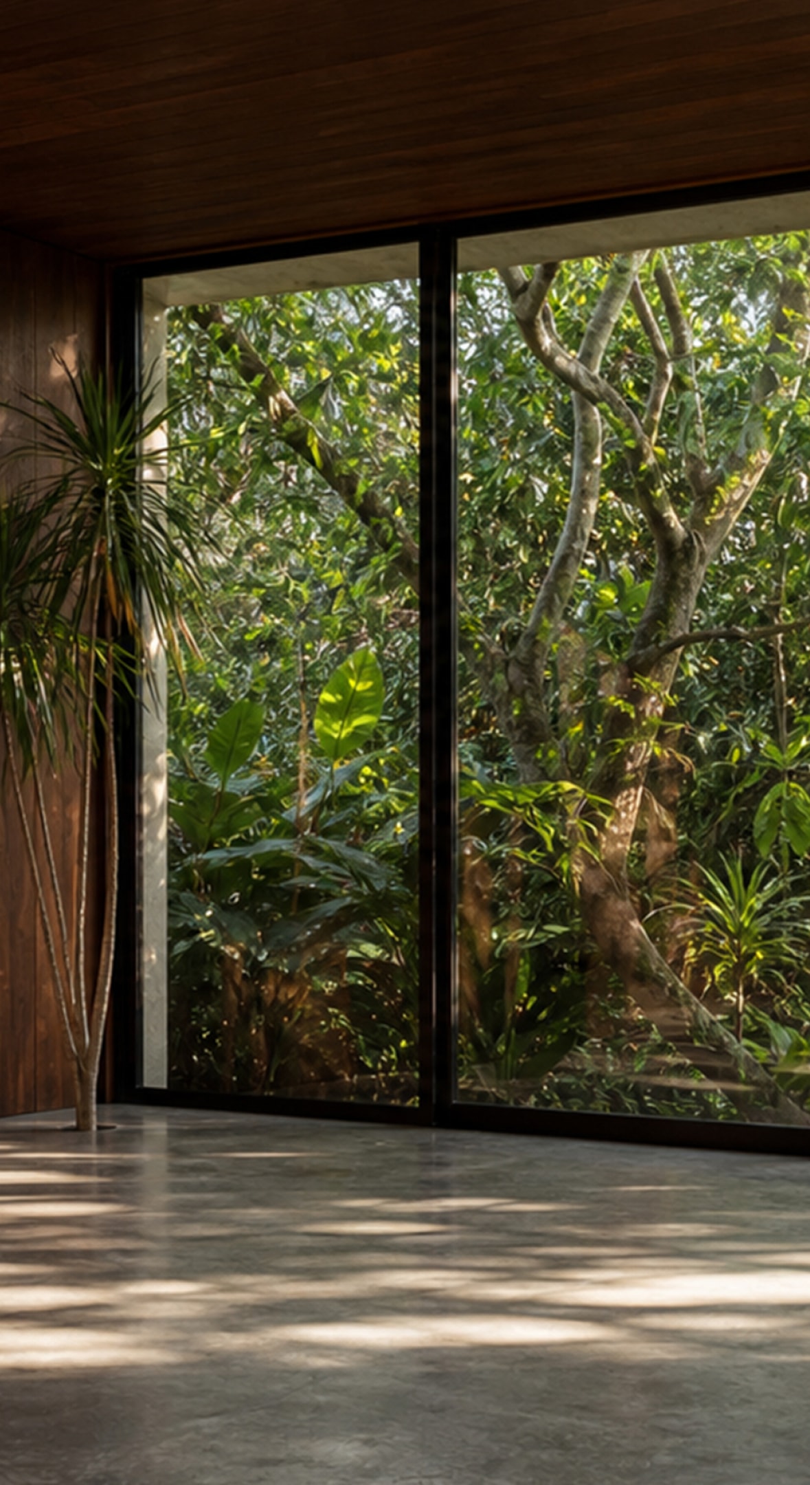 Sunlit room with a warm wood wall and floor-to-ceiling windows looking onto greenery
