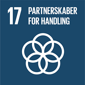 Sustainable Development Goal 17