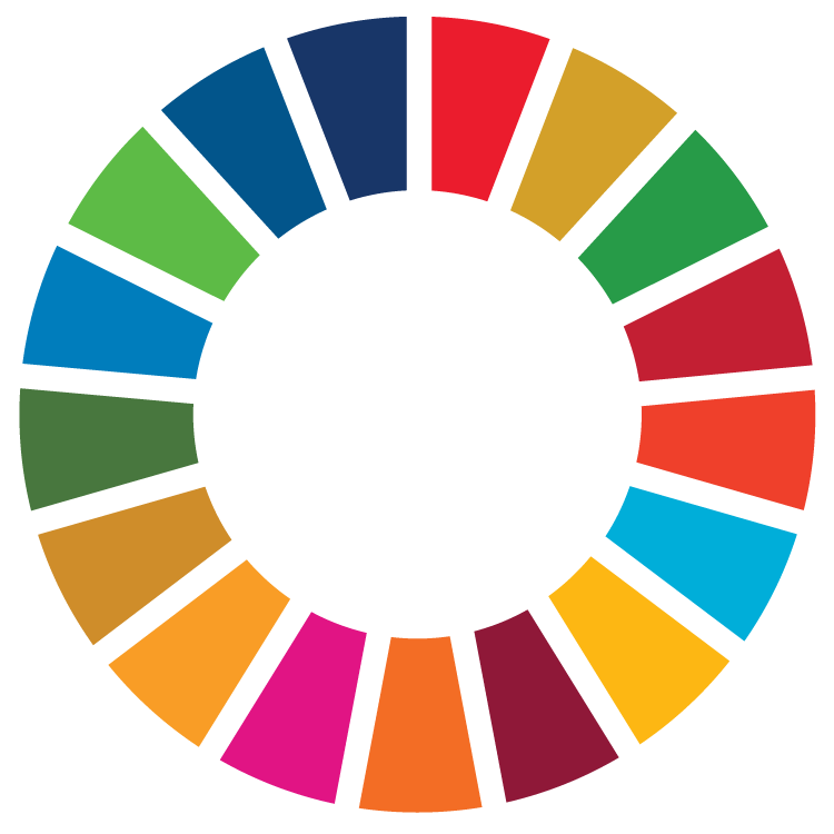 Sustainable Development Goals icon