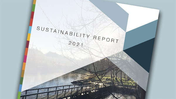 Front page of SDG Report 2021