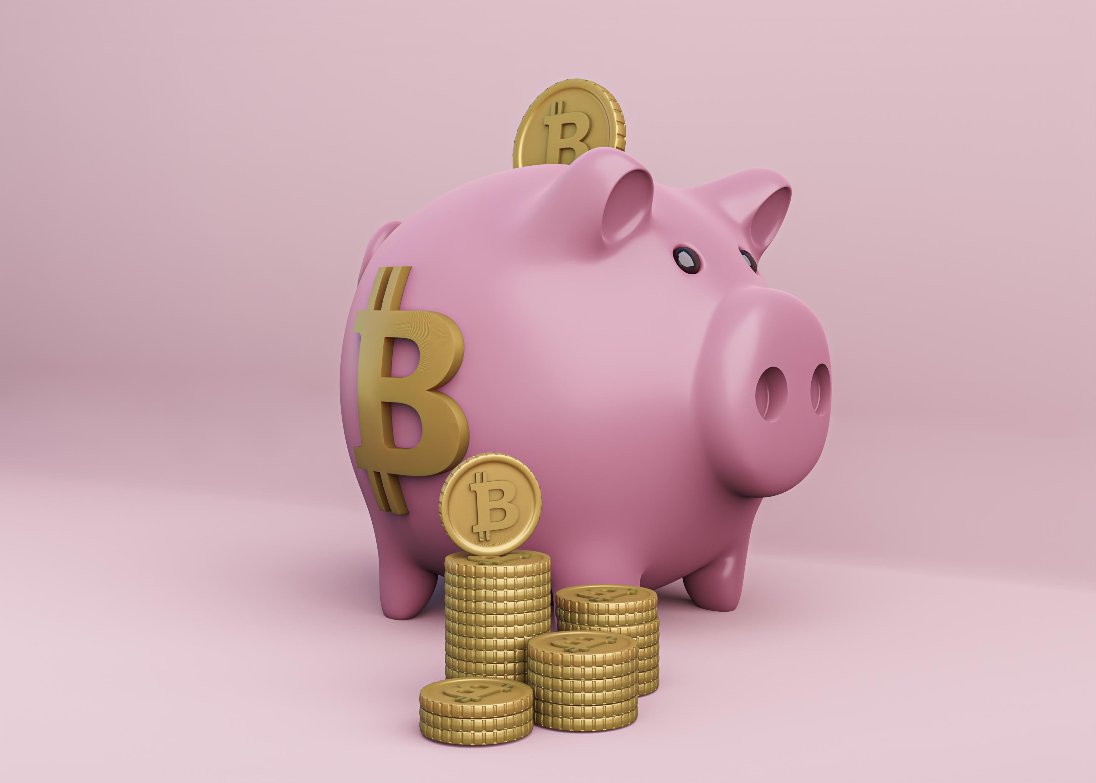 Diamond Pigs making investments available for begginers in crypto