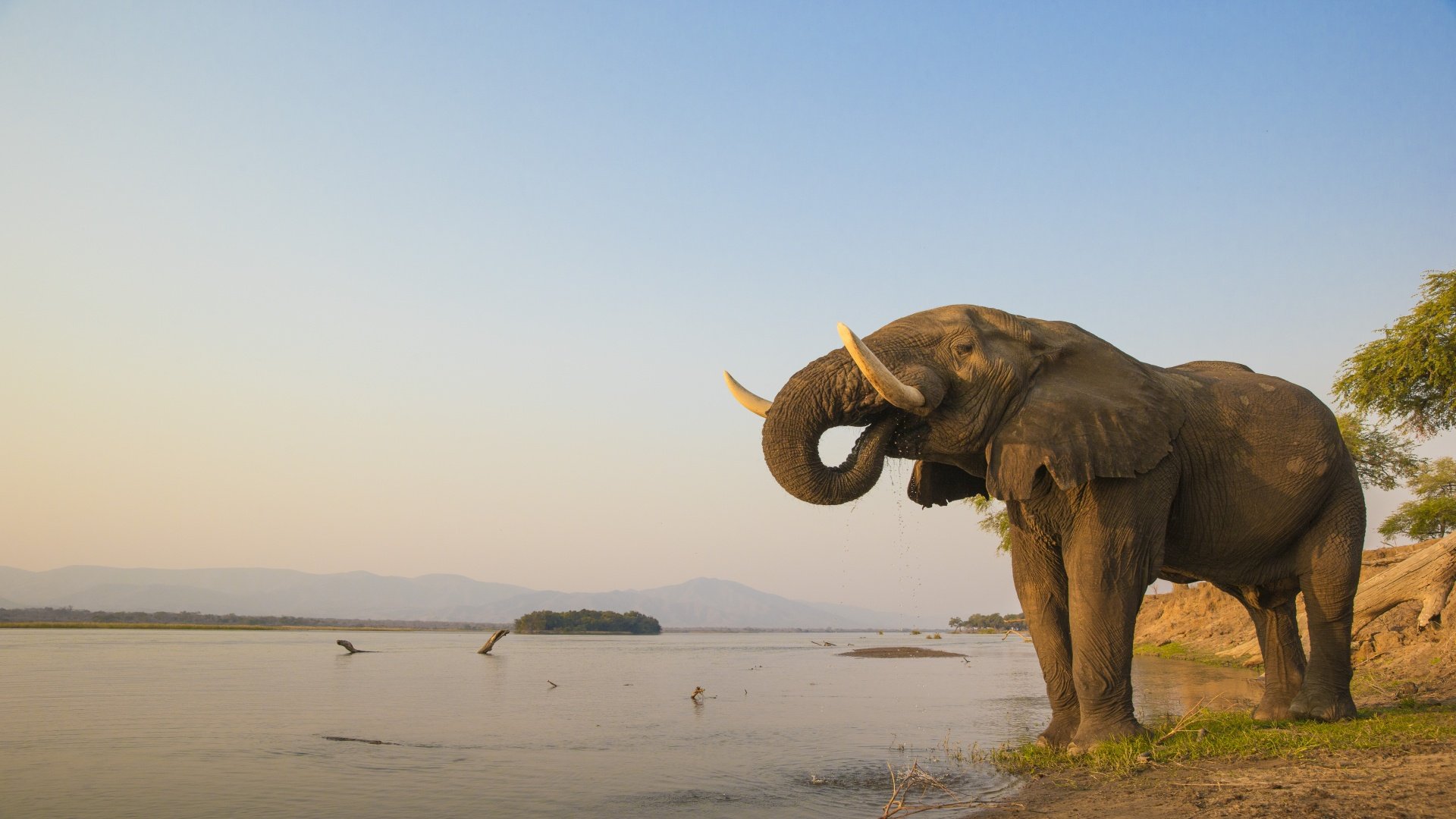 Botswana & Simbabwe hautnah: Chobe, Okavango Delta & Viktoriafälle