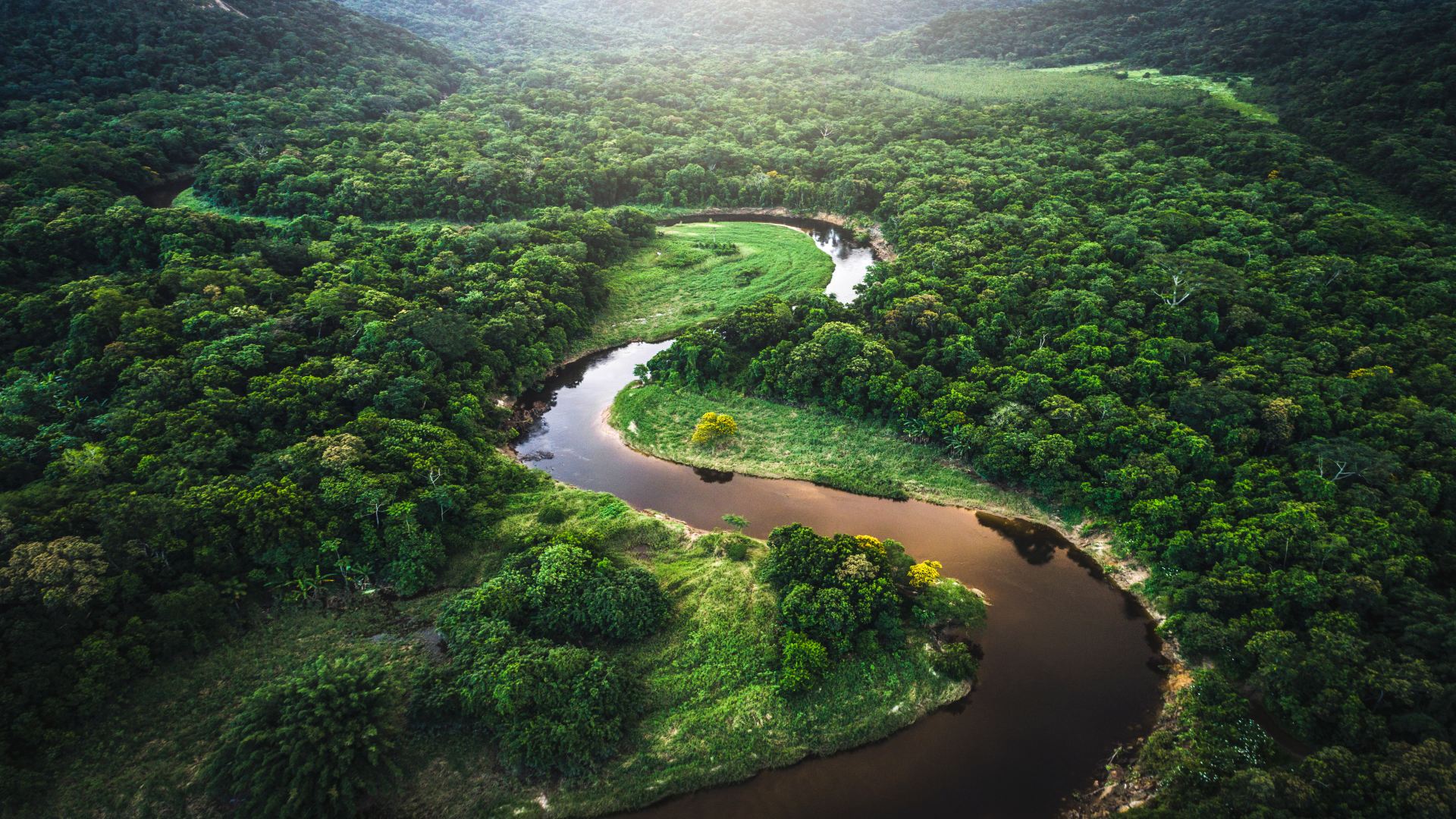 Natur pur: Von Costa Rica bis Brasilien