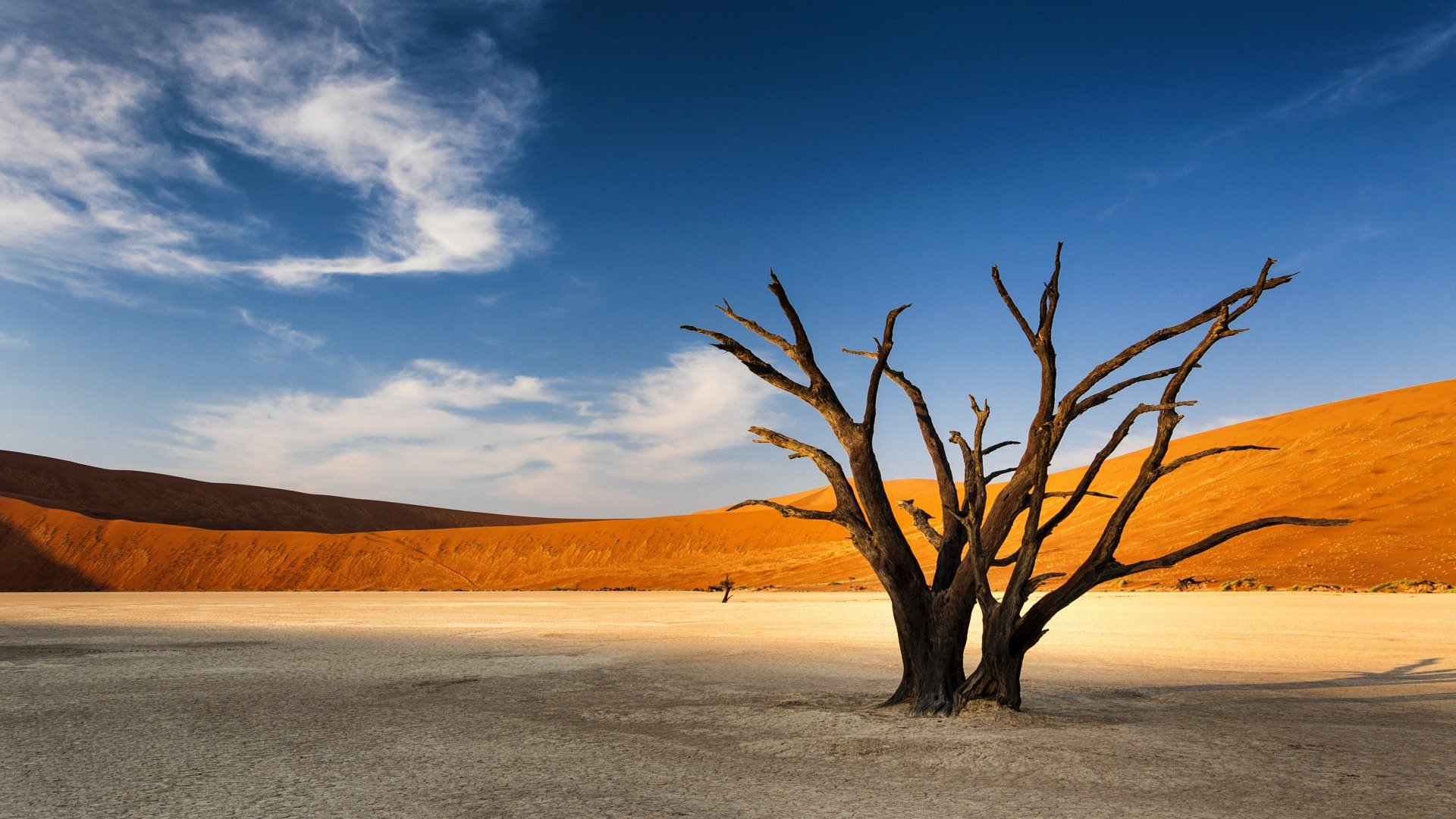 Preistipp: Namibia auf eigene Faust - Etosha-Safari, Kalahari-Wüste & idyllische Küstenstädchen