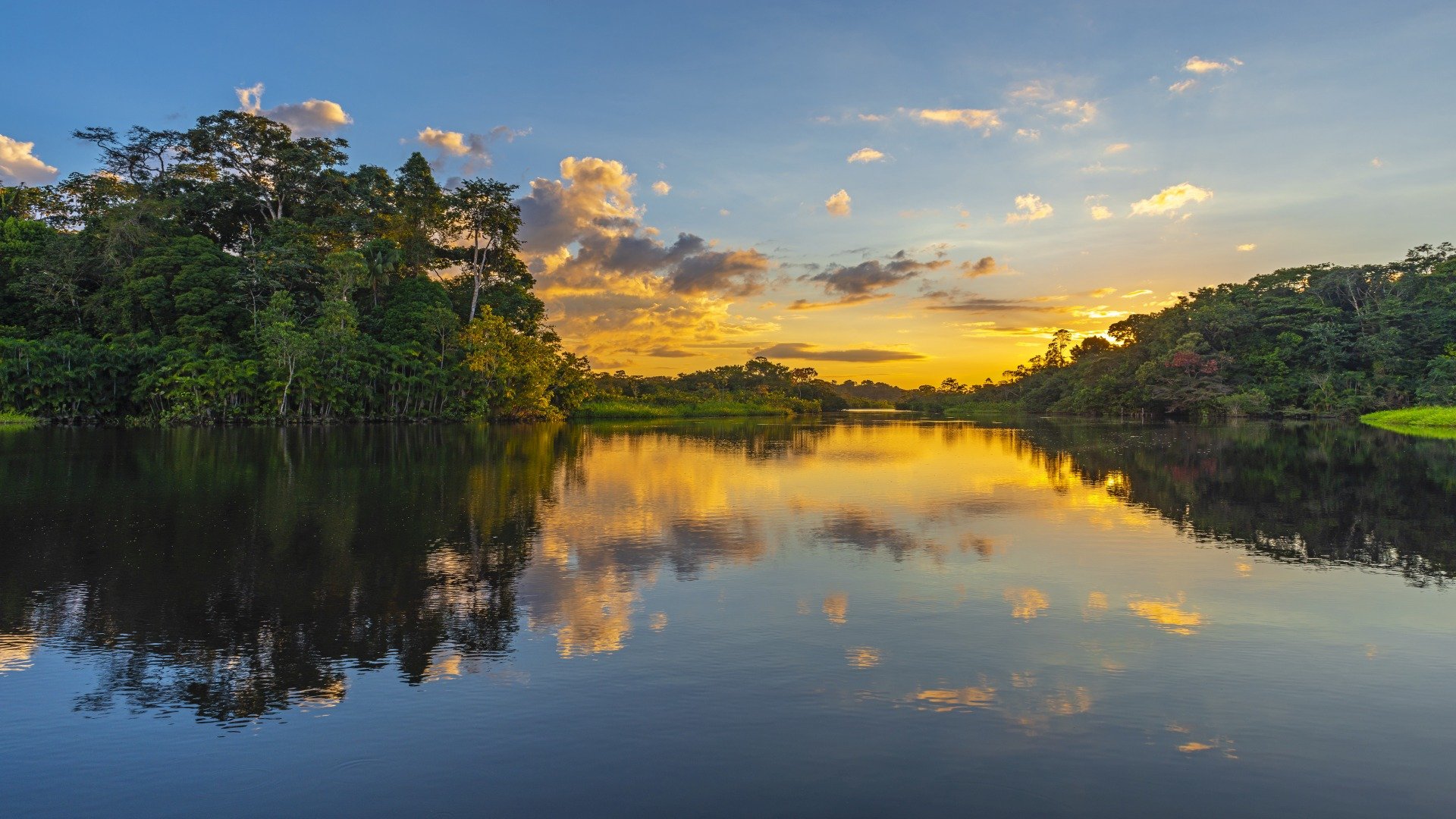 Die Entdeckung der geheimnisvollen Welt des Amazonas
