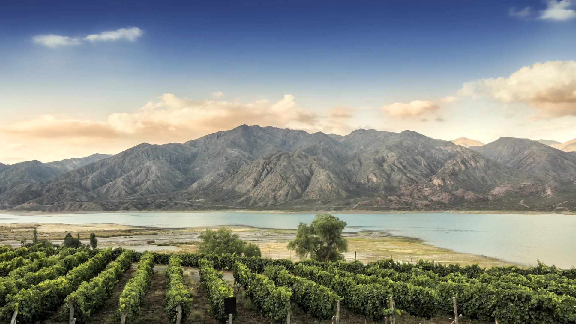 Mendoza bis Santiago de Chile – Wein, Anden & Pazifik