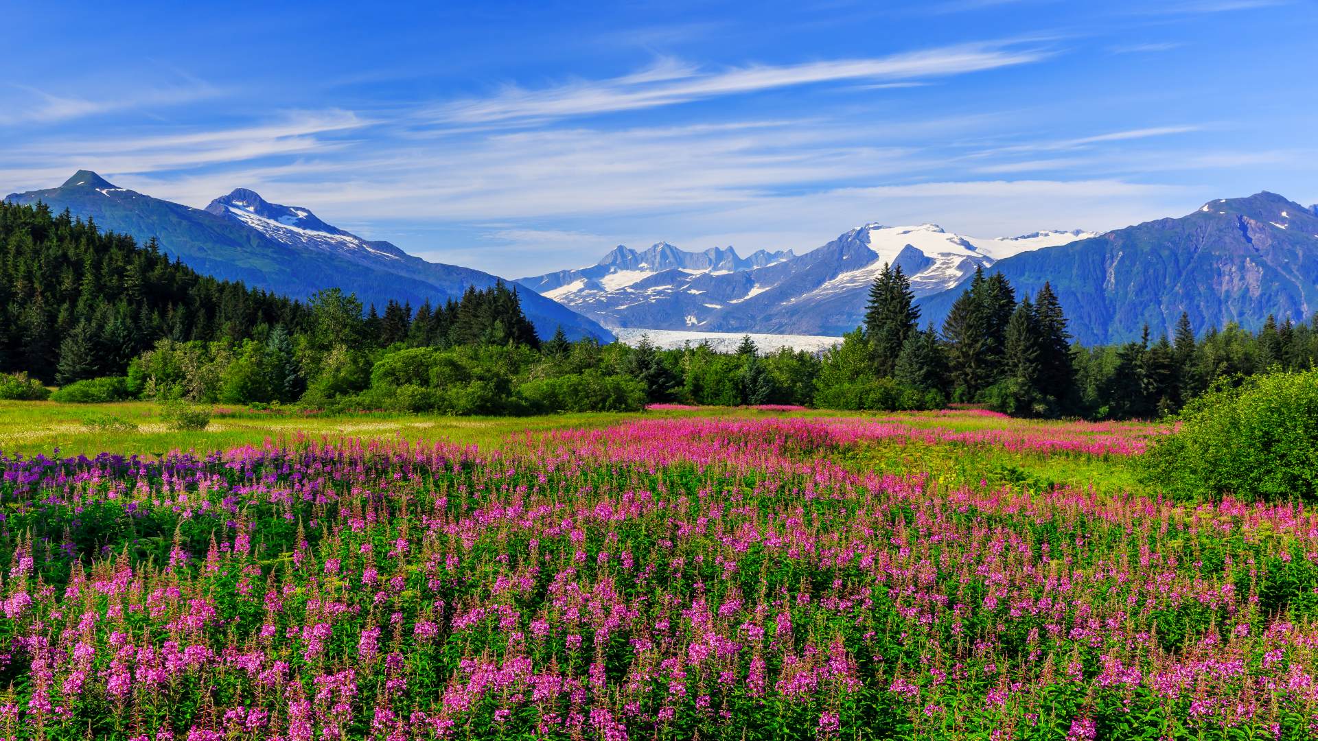 Alaska Explorer: Mit dem Zug durch das Abenteuerland