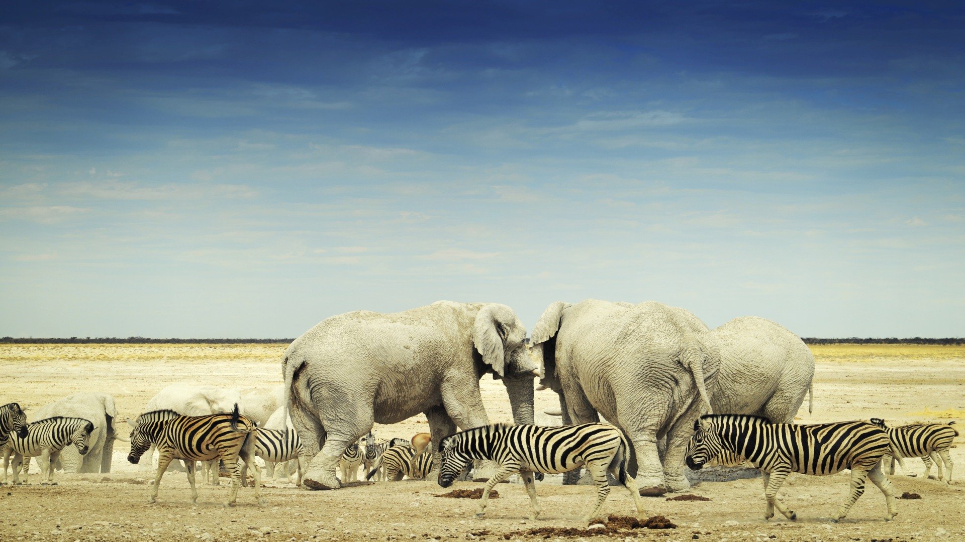 Bus & Flug Shuttle Tour durch Namibia