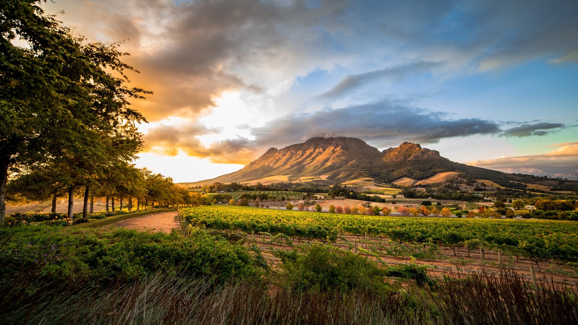 Durban, Wild Coast & Garden Route