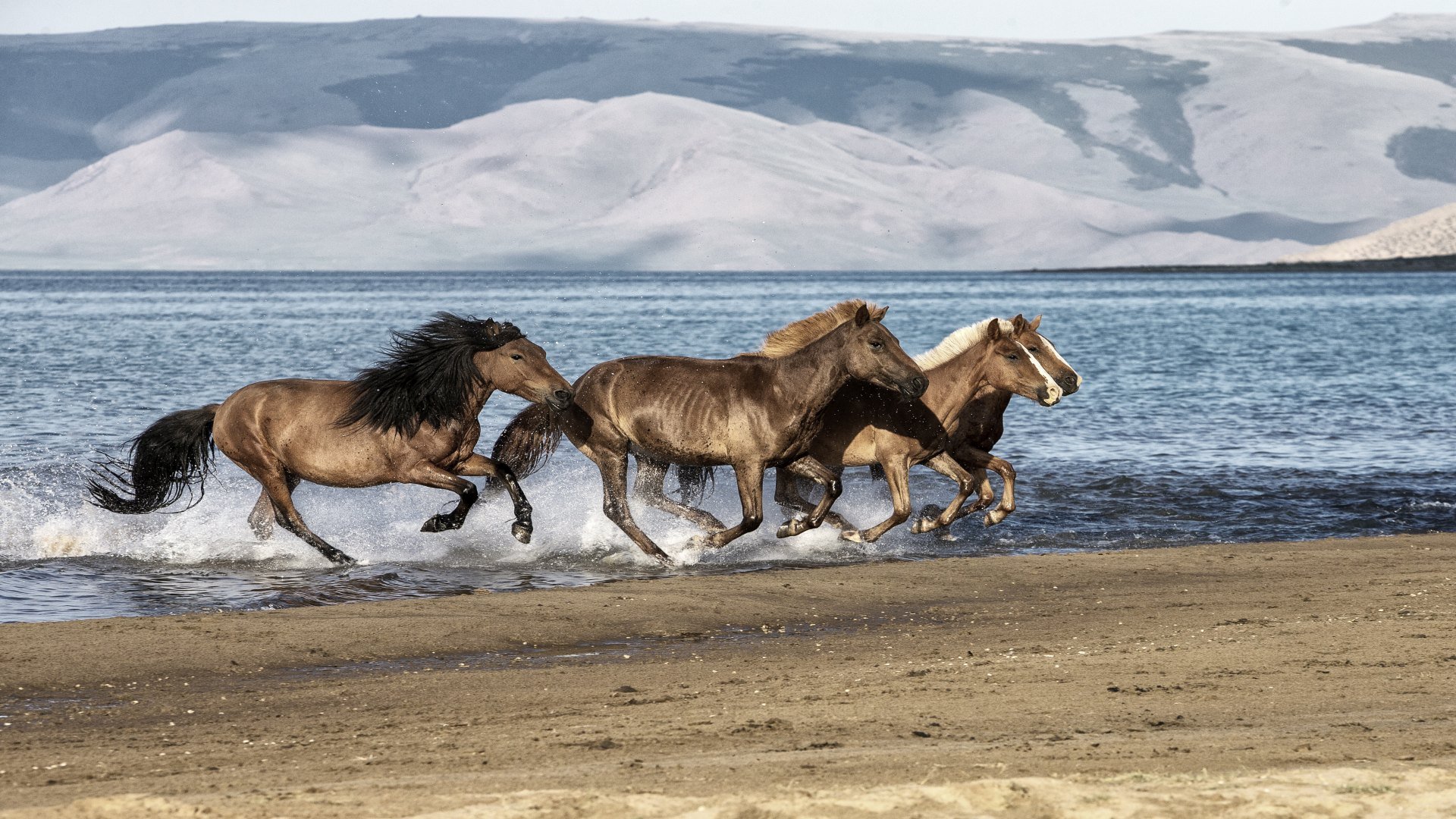 Mongolei