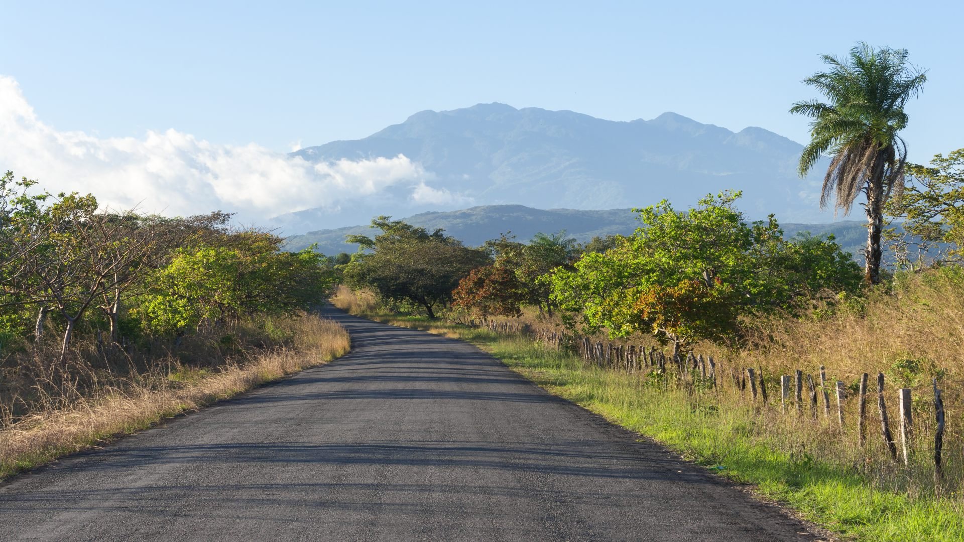 Für Entdecker: 7 Tage Natur und Kultur pur in Panama