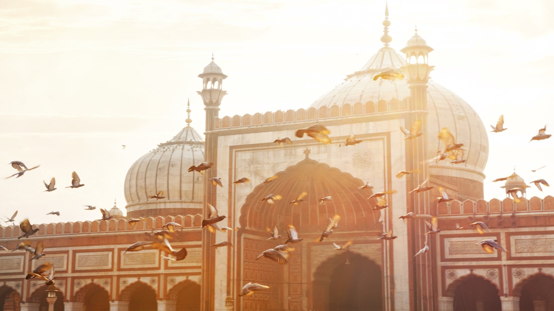 Goldenes Dreieck: Erlebnisreise von Delhi bis Agra