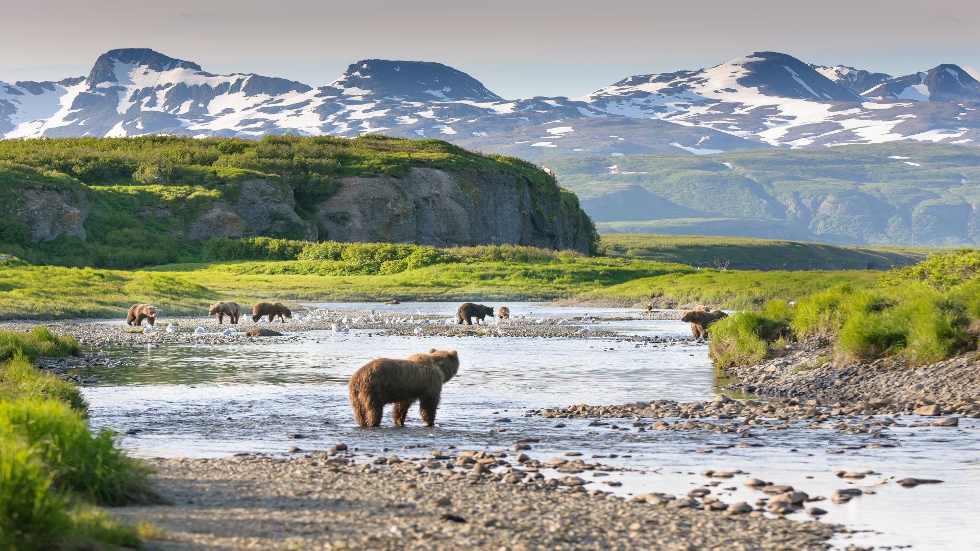 Im Bann des Nordens: Die Wildnis Alaskas hautnah