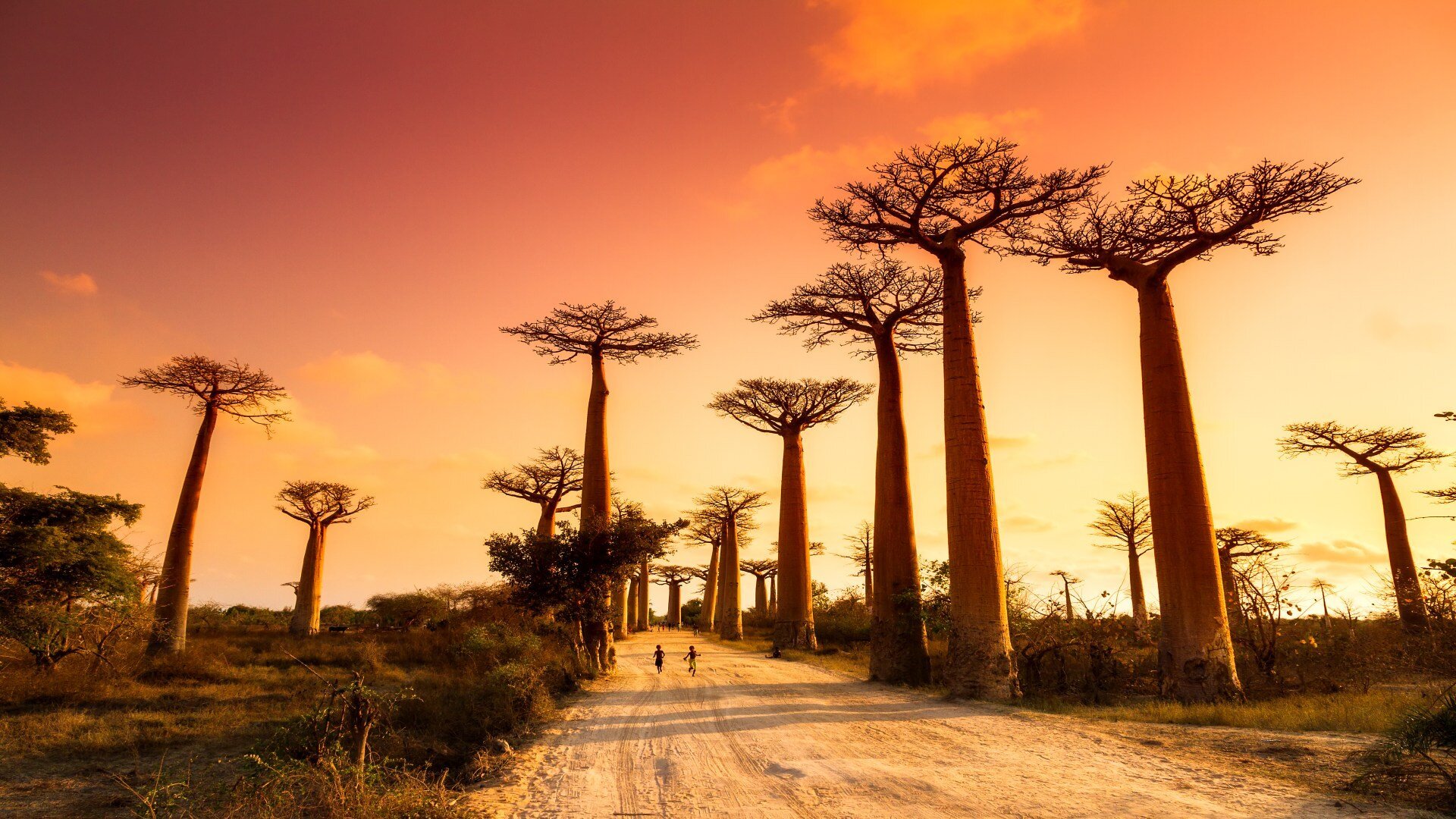 Im Schatten der Riesenbaobabs: Madagaskar ganz authentisch