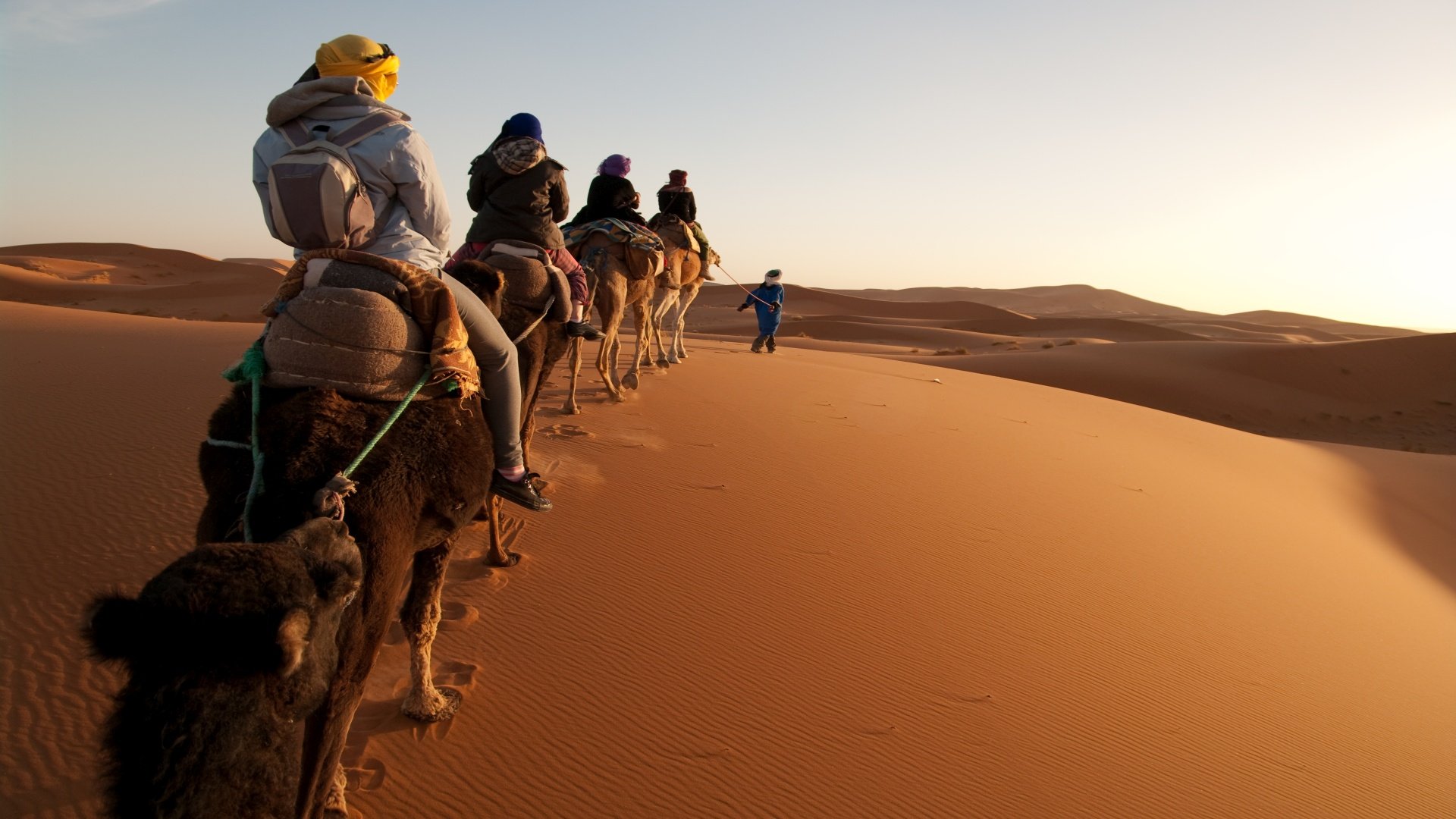 Kameltrekking: Abenteuer-Tour durch die Saharawüste Marokkos