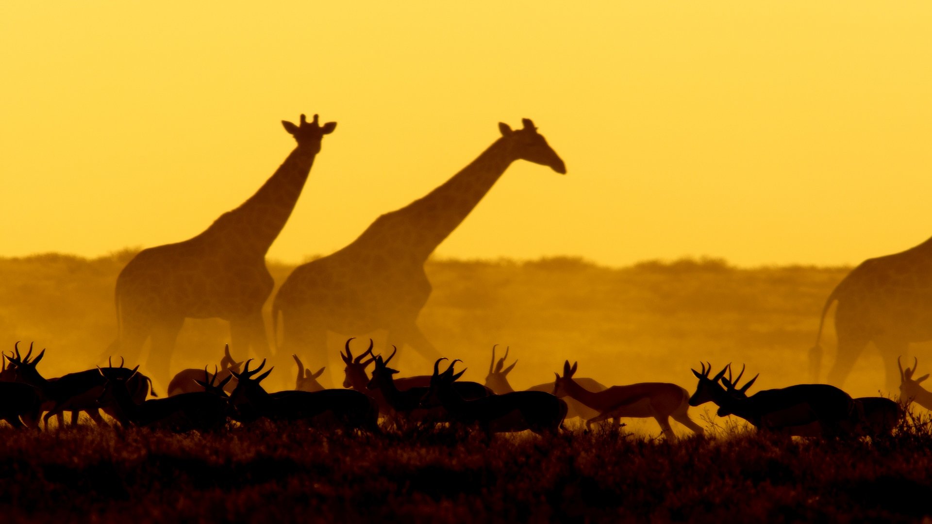 Luxusreise zu den Juwelen im Südlichen Afrika
