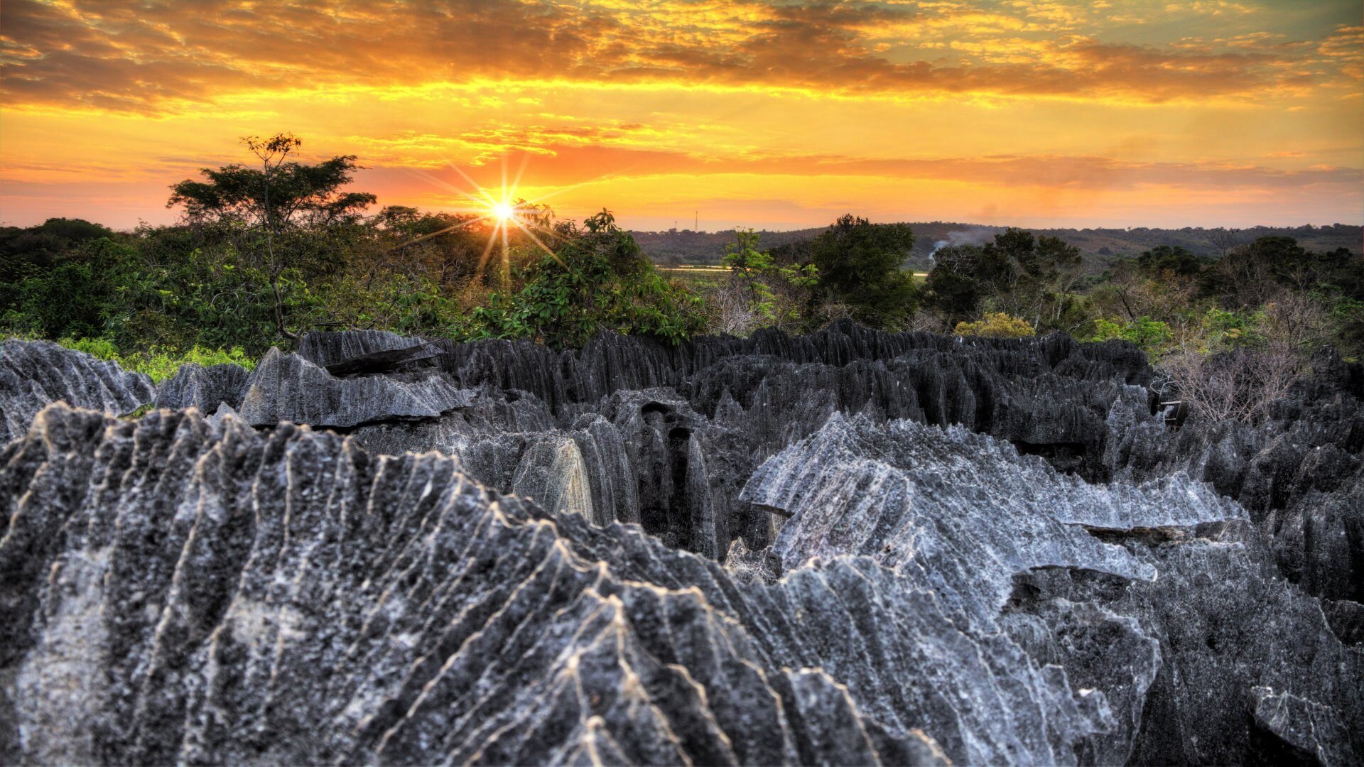 Madagaskar pur: Magische Nationalparks, kleine Fischerdörfer & faszinierende Strahlenschildkröten
