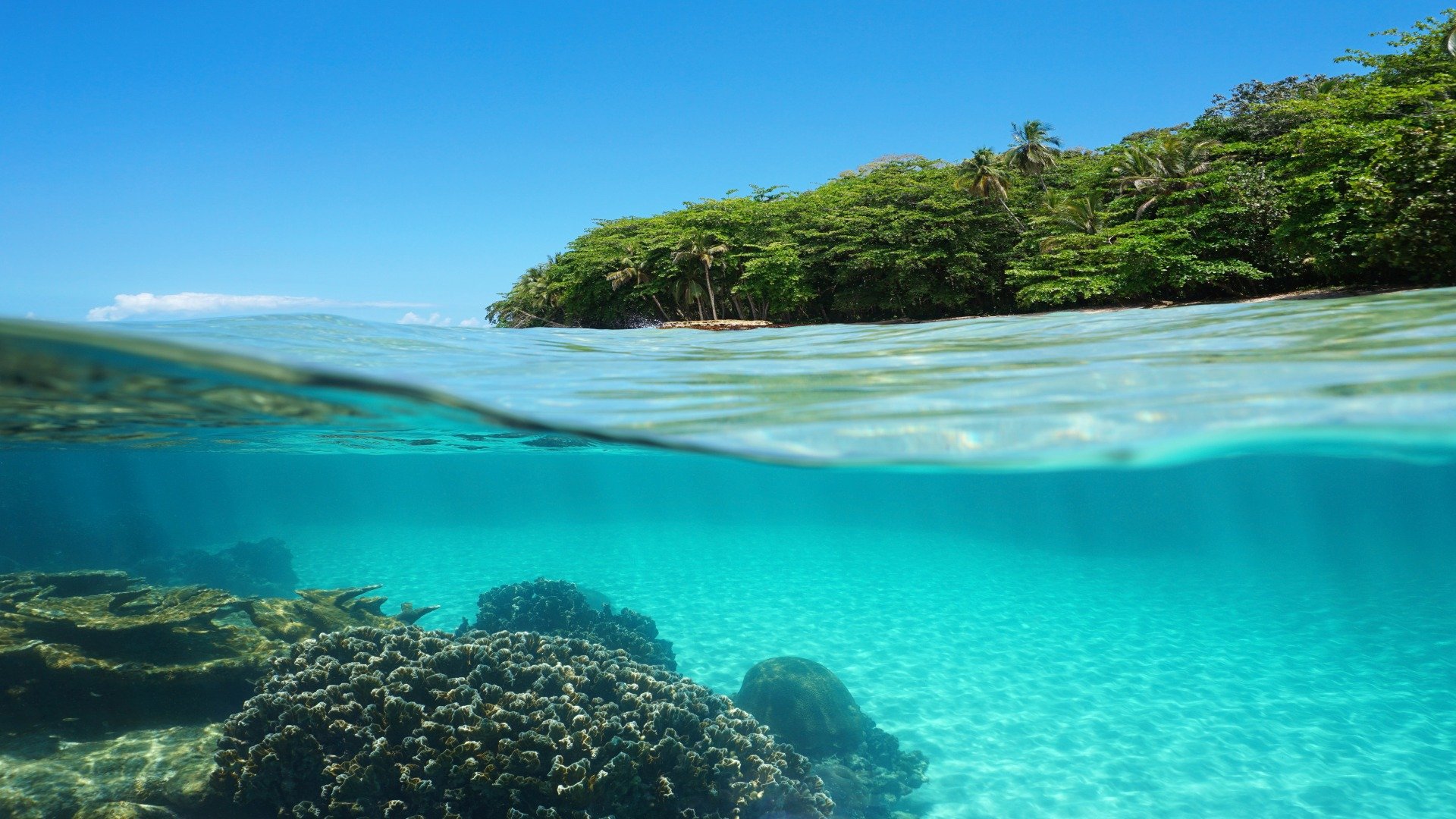 Paradiesisches Costa Rica: Goldene Lagunen und bunte Tropen