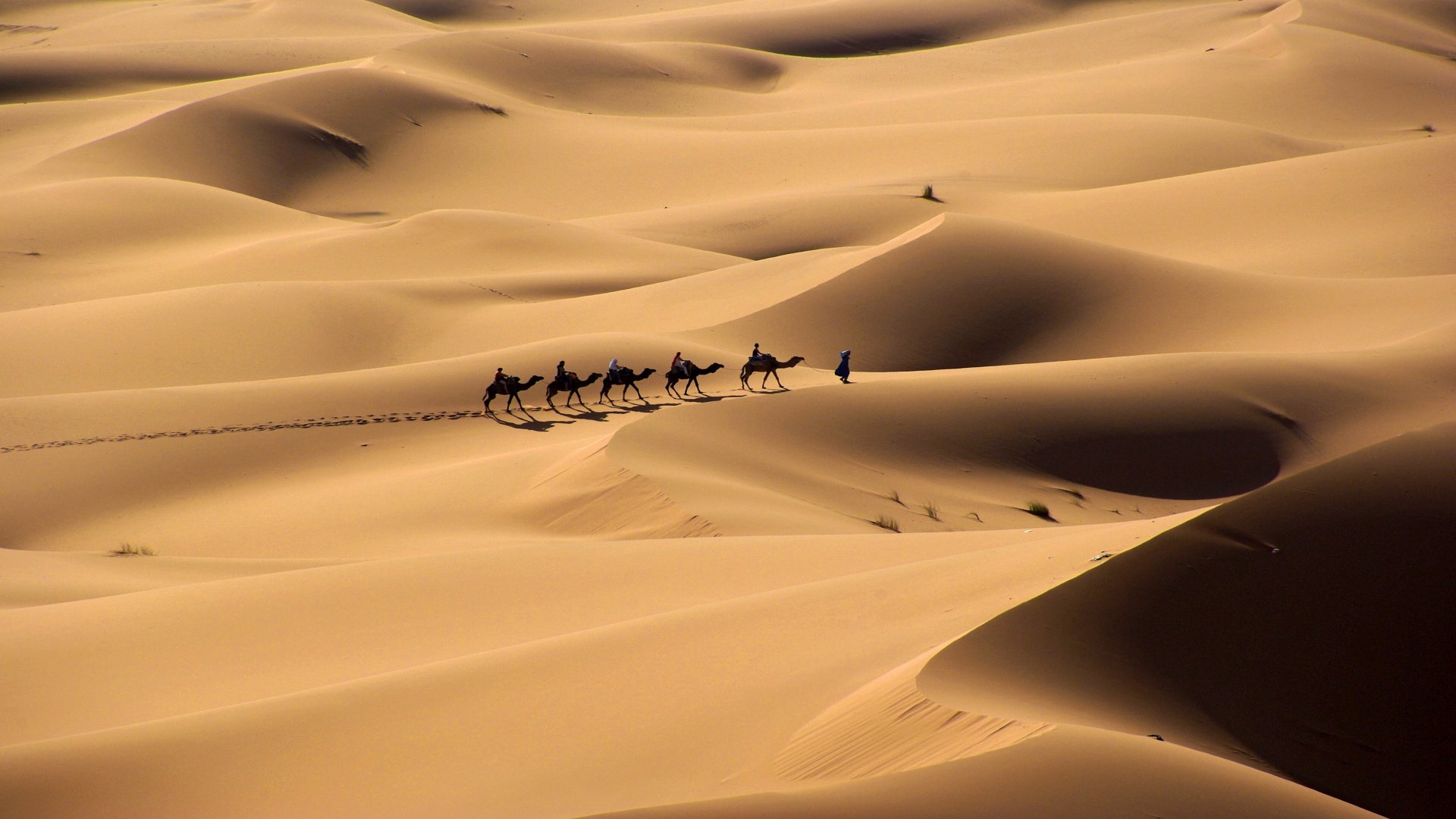 Sahara-Wüstentrekking: Auf den Spuren der Beduinen