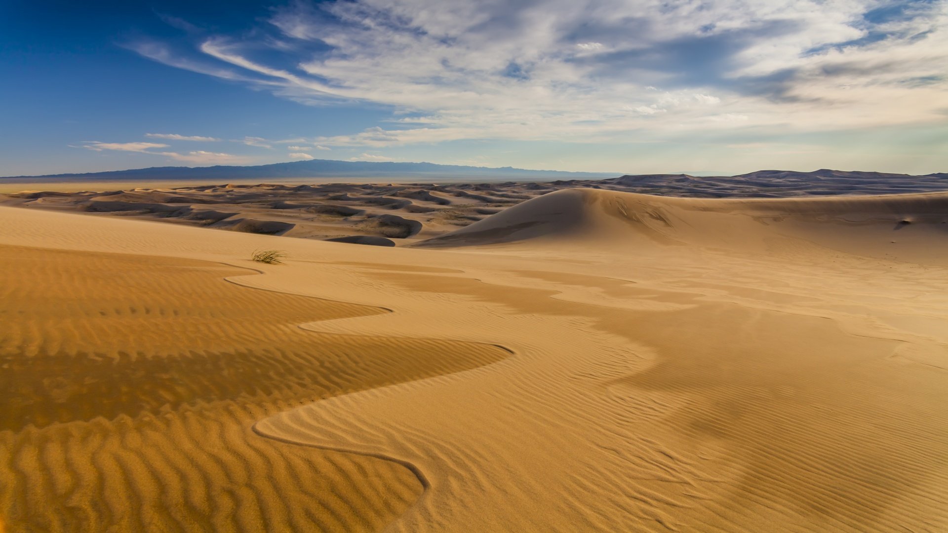 Wüste Gobi, Kamele & Wildpferde: Unvergessliche Mongolei-Reise