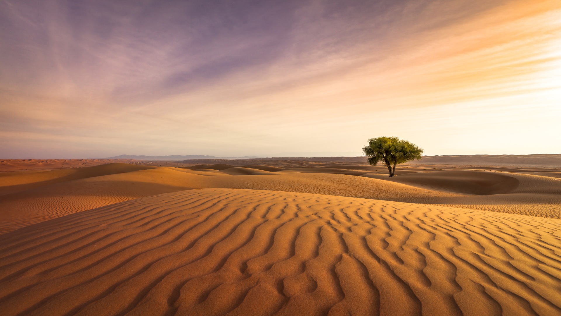 Saudi-Arabien