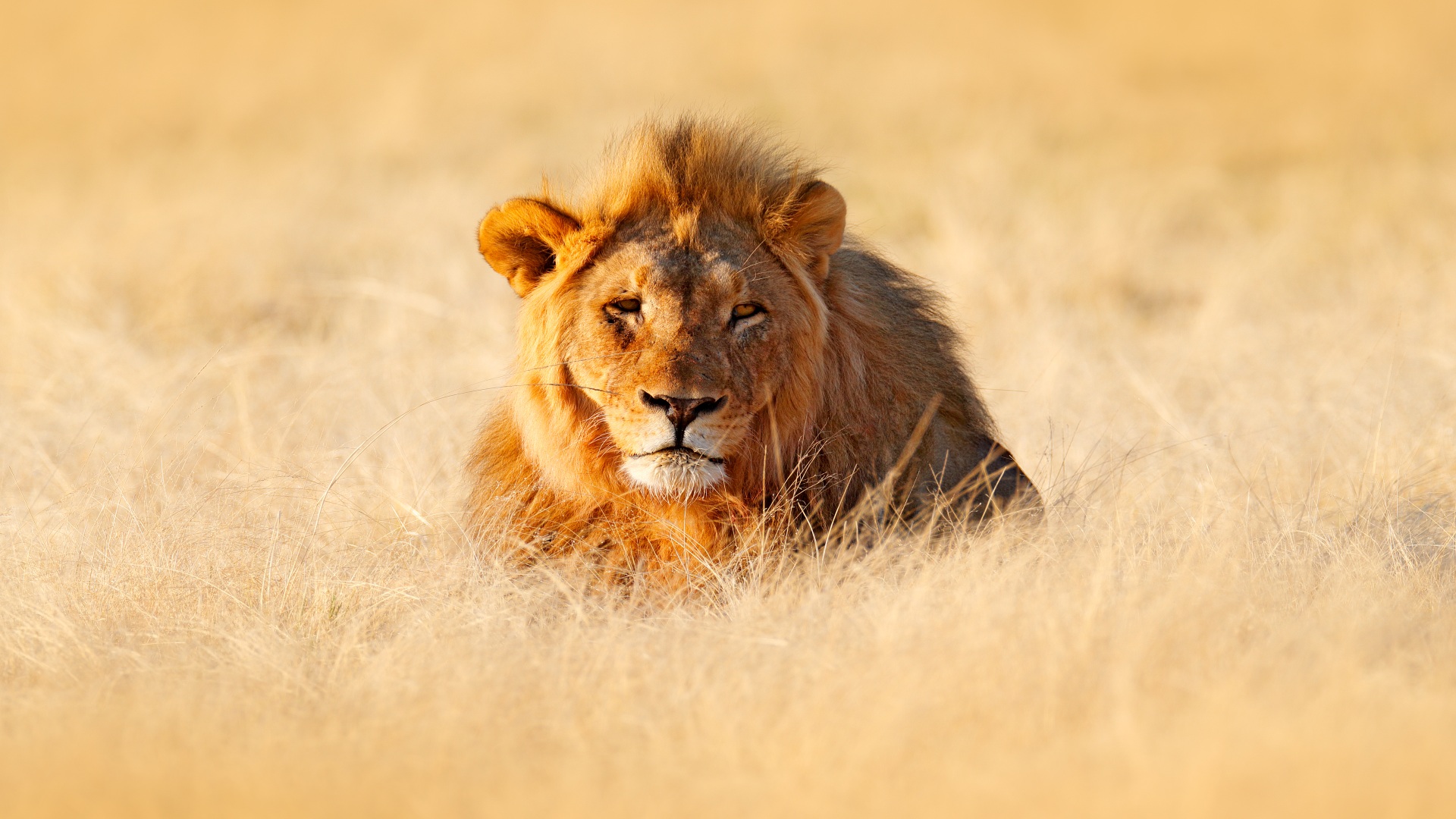 Namibia